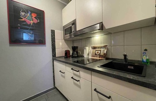 Steina Apartment | Cozy 45sqm apartment - 3 dogs welcome - WLAN incl. - ground floor - terrace