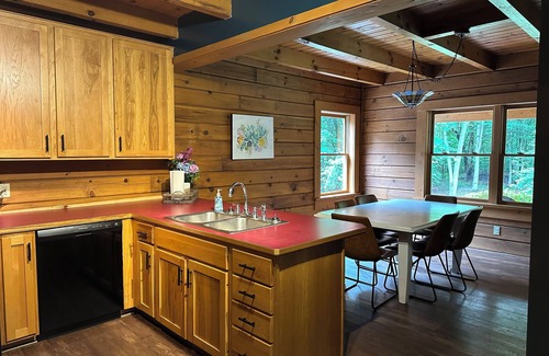 Minerva Cabin | Cozy 5-bedroom cabin with WiFi, AC-nestled in the woods near Minerva, Ohio
