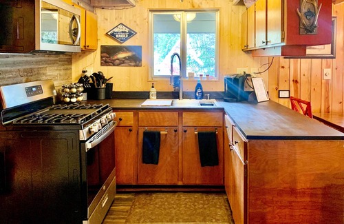 Packwood Cabin | Cozy A-Frame w/Hot Tub, Fire Pit, & Fireplace!