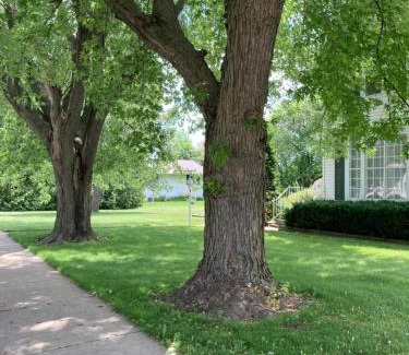 Algoma House | Cozy Algoma Retreat! Minutes to Beach and Downtown!