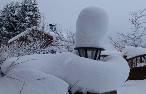 Saulgrub Apartment | Cozy Alpine Flat in Altenau