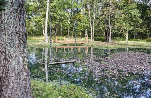 Round Hill Cottage | Cozy and Beautiful Wine Country Cottage! w/Fireplace, Pond, treehouse and more!