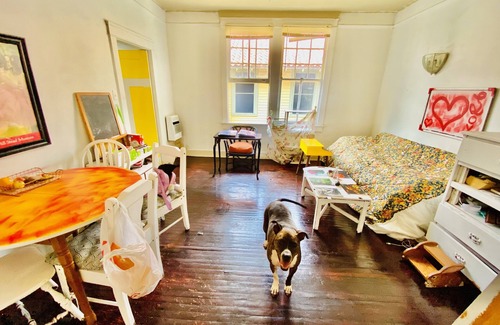 Uptown Historic District House | Cozy and Bright Room Uptown