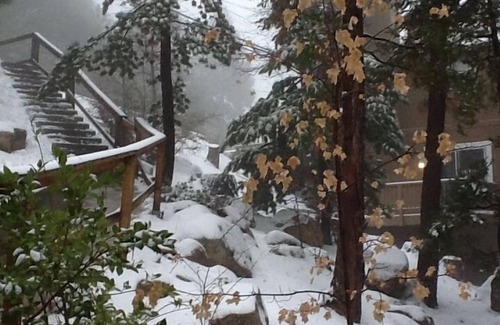 Lake Arrowhead House | Cozy and Charming Private Retreat