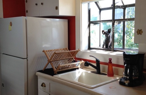 East End House | Cozy and Private East End Downtown Historic Cottage with B Yard, One Bed & Bath