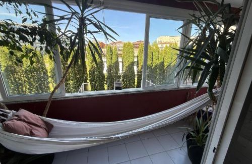 Portela Apartment | Cozy and Quiet Apartment near the Center