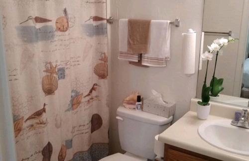 North Augusta Apartment | Cozy and warm