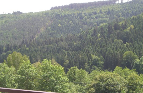 Bad Wildbad Apartment | Cozy and well-equipped apartment, 2 room apartment, 62 m²