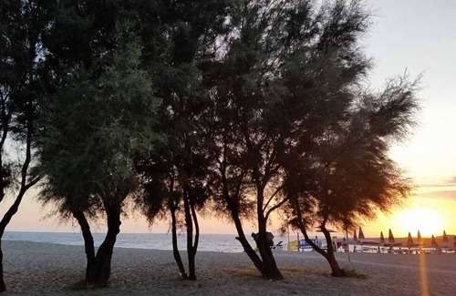 Gizzeria Lido Apartment | Cozy apartment 100 meters from the beach