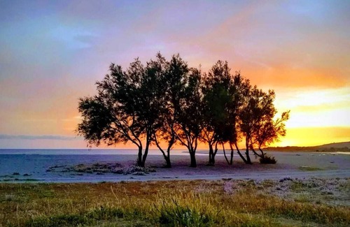 Gizzeria Lido Apartment | Cozy apartment 100 meters from the beach