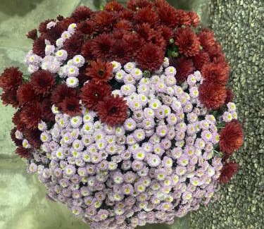 Samarkand Apartment | Cozy apartment 2