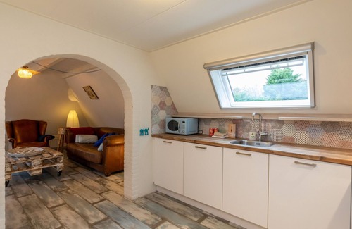Groot Valkenisse House | Cozy apartment at the foot of the dunes