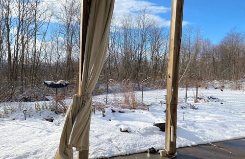 Exeter Apartment | Cozy apartment attached to Pa Game-lands, birdwatching wildlife