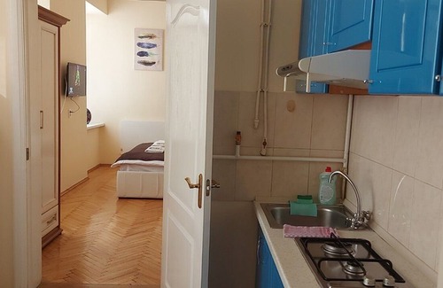 Lviv City Center Apartment | Cozy apartment in Lviv !!! (City center)