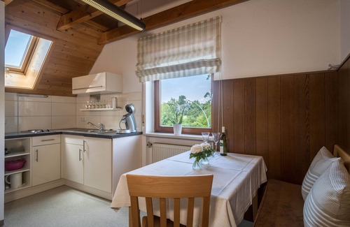 Aschach Apartment | Cozy Apartment “Konrad Schielin” with Mountain View, Wi-Fi & Balcony
