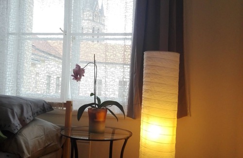 Zizkov Apartment | COZY APARTMENT NEJEDLEHO