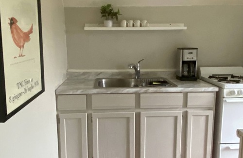 Bellevue Apartment | Cozy Apartment on Quiet St Near Casino, Stadiums and Downtown. Pet Friendly!