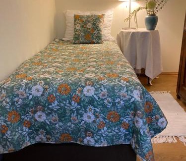 Steyr Apartment | Cozy Apartment Steyr Mitte, ruhig, Parkplatz, Terasse, 2 Schlafzimmer, WLAN