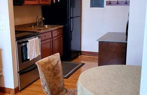 Wabasha Condo | Cozy apartment with balcony that overlooks downtown Wabasha!