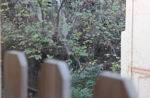 Sarria Apartment | Cozy apartment with double bedroom and terrace