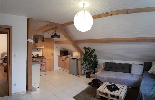 Fouchy Apartment | Cozy apartment with views of the mountains!