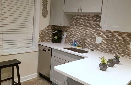 Winston - Salem House | Cozy Ardmore Cottage Basement Apartment