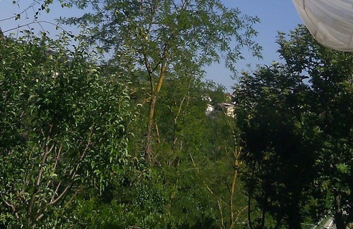 Teramo Villa | Cozy Attic in Villa, A.C. garden and free parking