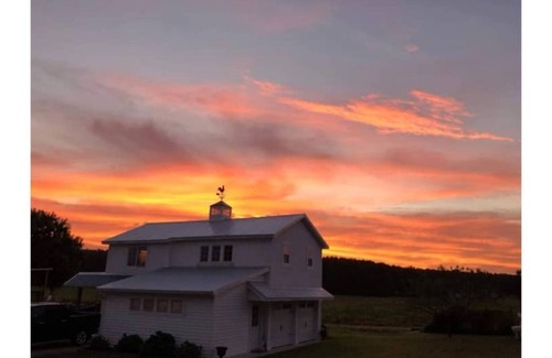 Pocomoke City House | Cozy Barn Loft: Country Views & Central to Beaches
