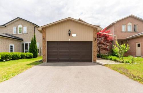 Newmarket Apartment | Cozy basement apartment in Newmarket