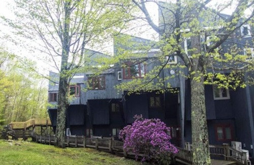 Campton Condo | Cozy Bear Mountain View Getaway