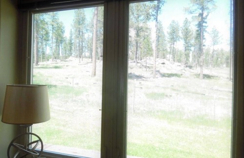 Custer Cabin | Cozy Black Hills cabin on Horse Camp grounds