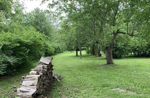 Blackstone Cottage | Cozy Blue Cottage on 13 acres!