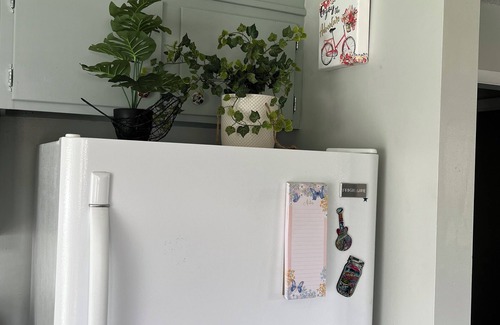 Bristol Apartment | Cozy Bristol Jungalow Apartment- 2 blocks from King College - 2 bd/1 bath