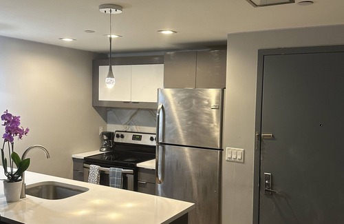 Flatbush Apartment | Cozy Brooklyn luxe apartment. contact me for short stays.