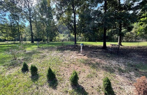 McCalla House | Cozy Bungalow between Hoover & Tuscaloosa
