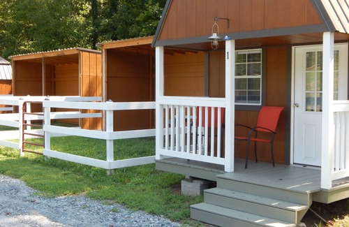 Caroleen Cabin | Cozy Cabin 1 at Bird's Nest Bunkies and Barn in Ellenboro with WiFi, AC, & Heat