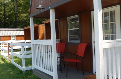 Caroleen Cabin | Cozy Cabin 1 at Bird's Nest Bunkies and Barn in Ellenboro with WiFi, AC, & Heat