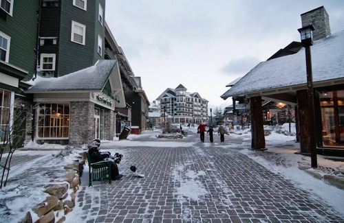 Snowshoe Condo | Cozy Cabin 1 BR Snowshoe