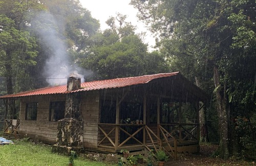 Roble Cabin | Cozy Cabin, 10 minutes from Heredia, forest around