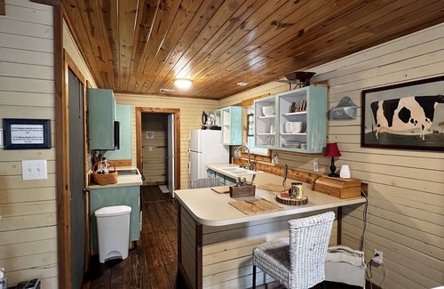 Wills Point Cabin | Cozy Cabin 15 min from Trade Days