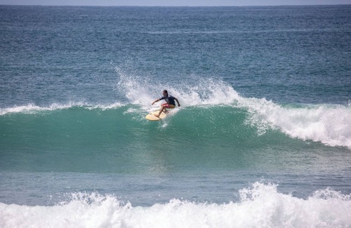 Palma Cabin | Cozy cabin 200 meters from Cabo Matapalo Beach