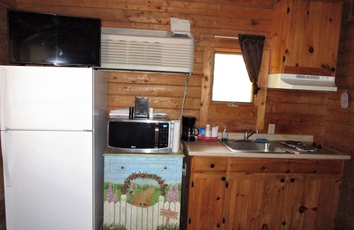 Mayo Cabin | Cozy cabin 23 with Wi-Fi, AC, fitness room in charming Mayo