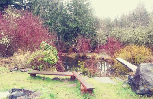Sedro-Woolley Cabin | Cozy Cabin at SunRay Shire