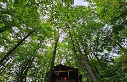 Mars Hill House | Cozy Cabin, Foliage, Hot Tub, Wi Fi, Fireplace