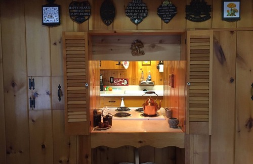 Idyllwild Cabin | Cozy cabin in the woods - Close to the arts/music & village, Pet friendly, Wifi