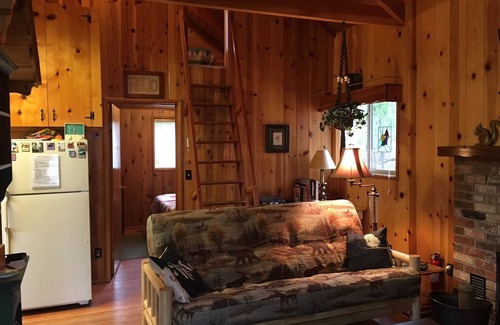 Idyllwild Cabin | Cozy cabin in the woods - Close to the arts/music & village, Pet friendly, Wifi