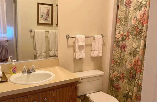 Hancock Resort | COZY CABIN IN BERKSHIRES RESORT. SKI IN AND OUT. PET FRIENDLY.