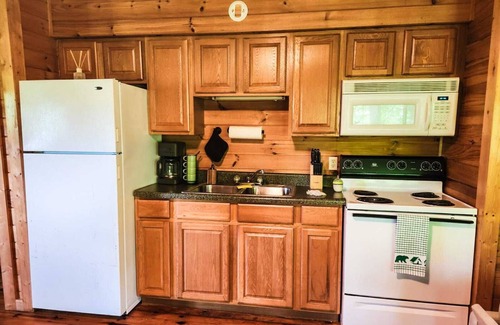 Bryson City Cabin | Cozy Cabin in Nantahala Village