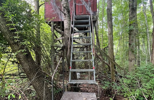 Elm Hall Cabin | Cozy cabin in Riverdale with outdoor adventures near bike trails and the casino.