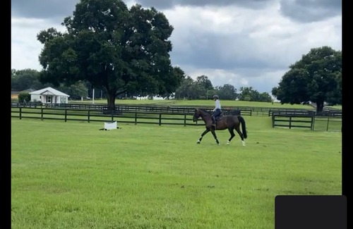 Reddick Cabin | Cozy cabin in serene Reddick with WiFi, AC